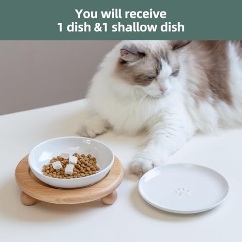 Havniva Cat Bowls Elevated 5.6” Ceramic Cat Bowl with Stand Whisker Friendly Cat Dishes, Cat Food & Water Bowl Set with Two Heights Options, Raised Cat Food Plates for Kitten Anti-Slip Pet Bowls - color: 1 Bowl+1 Shallow Dish+Stand- White