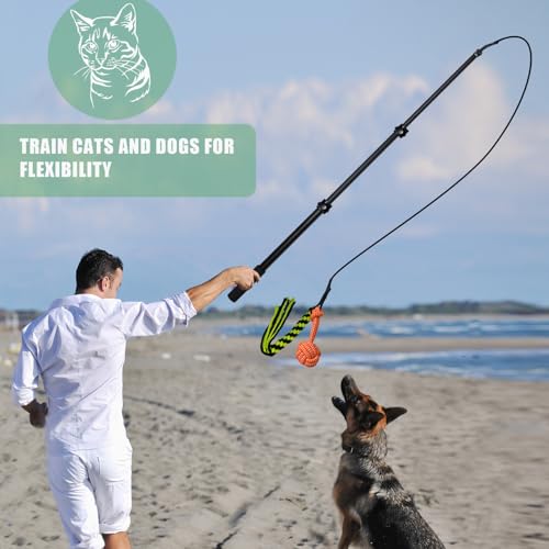 Upgraded Interactive Dog Toys - Extendable Flirt Pole Teaser Wand with Braided Rope Chewing Tugs and Squeaky Plush Chase Toy for Dog Puppy Outdoor Entertainment, Train and Exercise - color: Black-102