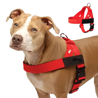 Dog Friendly Co. Dog Harness | Chafe Resistant Webbing, Adjustable Neck & Chest, and Heavy Duty D-Ring | Sturdy, Comfortable, Easy to Use | Red, Size XS - color: Red, size: X-Small