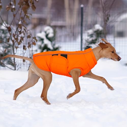 Kuoser Dog Jacket, Winter Dog Coats for Medium Dogs, Reflective Doggie Cold Weather Coats Pet Clothes, Puppy Snow Jacket for Frech Bulldog, Boston Terrier, Warm Hunting Vest, Orange M