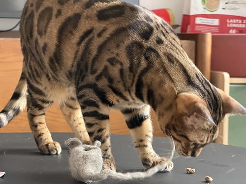 Albert & Mia HUNTIES — Cat Treat Puzzle Dispenser Toy, Cat Puzzle Feeder Toy for Slower Eating Training, Keeps Kitten Busy & Prevents Overeating, Small Interactive Food Toys for Cats (3 Wool Mice Set)