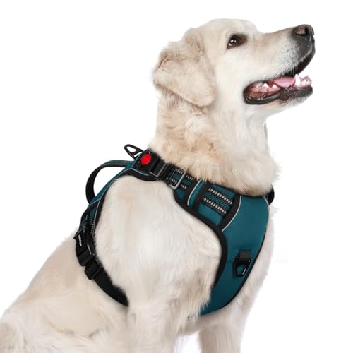 rabbitgoo Dog Harness for Large Dogs, No Pull Pet Harness with Soft Padded Handle, Adjustable Reflective Vest with 3 Buckles, Easy Walking Harness with 2 Leash Clips, Green, L - color: Green, size: Large