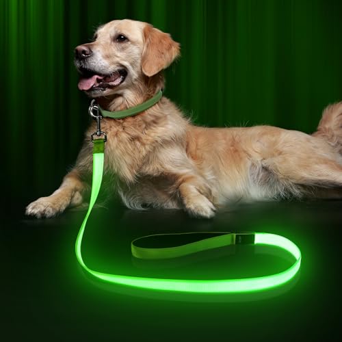 LED Dog Leash Light Up 4 Feet Micro USB Rechargeable Nylon Webbing Glow Safety Standard by Bpawser (Green) - color: Green, size: 4 Feet
