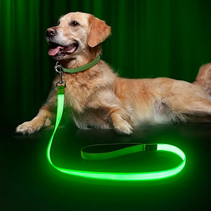 LED Dog Leash Light Up 4 Feet Micro USB Rechargeable Nylon Webbing Glow Safety Standard by Bpawser (Green) - color: Green, size: 4 Feet