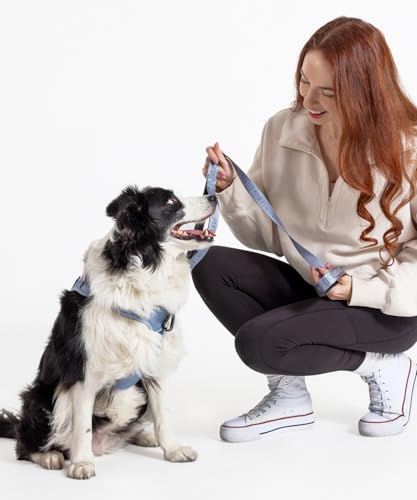 2026 New Edition, Fei & Eve Classic Dog Harness - Quick-Release Buckles | 3-Point No-Pull Control | Heavy-Duty 900D Nylon | Dual Safety Handles | Breathable Mesh | Adjustable Fit | Large,Blue - color: Dusk Blue, size: L
