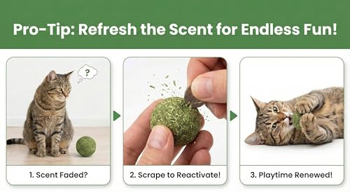 Natural Catnip Balls for Cats – 2 Pack Compressed Catnip Toys for Indoor Cats, 100% Natural No Fillers, Long-Lasting Mess-Free Interactive Cat Toy for Stress Relief & Healthy Play