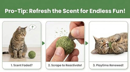Natural Catnip Balls for Cats – 2 Pack Compressed Catnip Toys for Indoor Cats, 100% Natural No Fillers, Long-Lasting Mess-Free Interactive Cat Toy for Stress Relief & Healthy Play