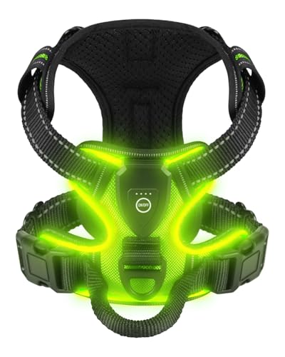 Light Up Dog Harness - LED Dog Harness Rechargeable for Night Walking, Three Lighting Modes, Flashing for More Than 20 Hours, Oxford Cloth(Green/Large) - color: Green, size: Large