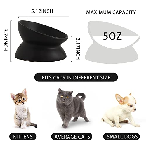 Ceramic Raised Cat Bowl, Cat Food Bowls Elevated Tilted, Ceramic Pet Bowl Whisker Friendly, Anti Vomit & Reduce Neck Burden for Food and Water (Black) - color: Black