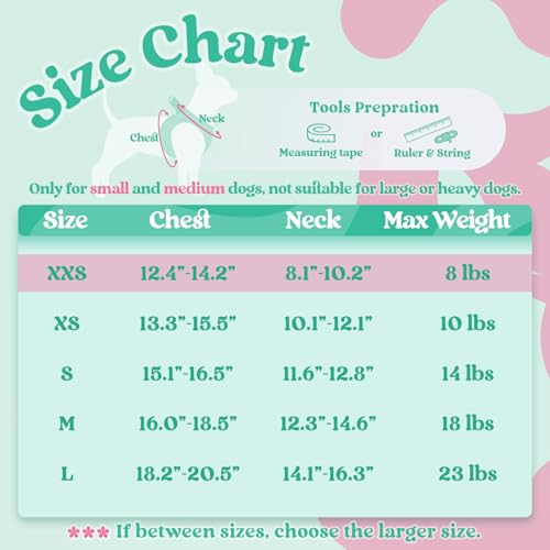 rabbitgoo Dog Harness Small Sized and Leash Set, Step-in Breathable Pet Harness, Soft Walking Reflective Puppy Vest for Small Dogs, Teal & Pink, XXS - color: Teal & Pink, size: XXS (Chest: 12.4 - 14.2")