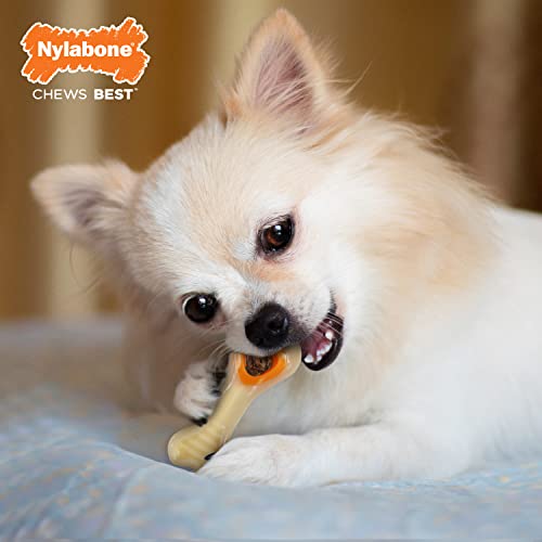 Nylabone Knuckle Bone Pop-In Treat Toy Power Chew Toy for Dogs, Interactive Treat Dispensing Enrichment Toys for Dogs, Long Lasting Chicken Flavor, X-Small Dogs - Up to 15 lbs - size: X-Small