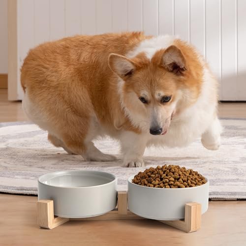 Mowtanco Grey Ceramic Dog & Cat Bowl Set – 13.5 OZ with Wooden Stand, Non-Slip, Elevated Design for Small Dogs & Cats – 2 Bowls (Food & Water, Ceramic Pet Bowls, Modern Dog Bowls) - color: Gray × 2
