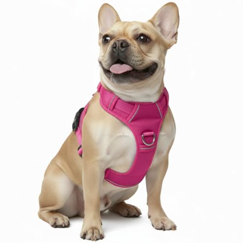 No Pull Dog Harness with 2 Leash Clips, Adjustable Soft Padded Reflective Oxford Pet Vest with Easy Control Handle for Large Dogs (Fuchsia, Small) - color: Fuchsia, size: Small