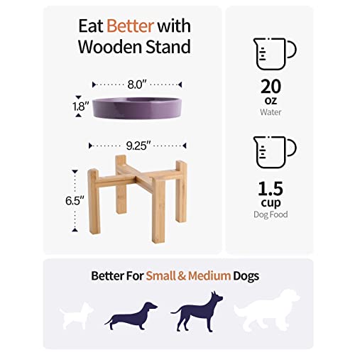 8.66 in Purple Dog Bowl Ceramic Slow Feeder for Medium Large Dogs,Elevated/Raised Slow Feeding Dog Food Water Dish Heavy Weighted,Puppy Bowl for Fast Eaters,Puzzle Eating Bowl Maze - color: Purple Slow Feeder Elevated