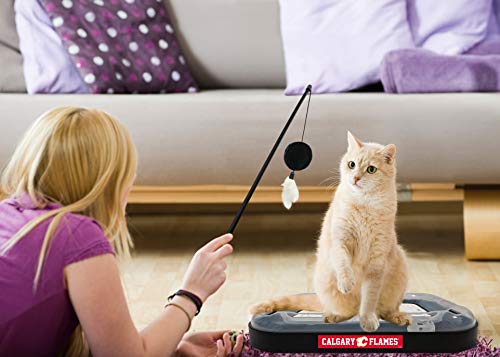 Pets First NHL Calgary Flames 5-in-1 Cat Scratching Toy with Interactive Cat Ball, Bell and Track - color: Calgary Flames