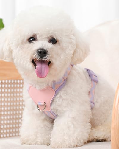 Petank Purple Medium Dog Harness for Medium Dogs, No Pull Dog Harness with 2 Leash Clips, Puppy Harness, Adjustable Dog Vest Harness (Purple, M) - color: Purple, size: M