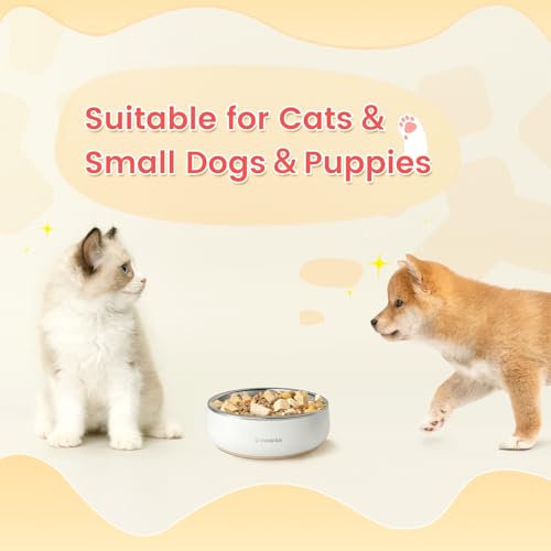 Pawaii Small Dog Bowls, 12 oz. Food Water Bowl Designed for Puppies and Cats with Non-Slip Rubber Base, Upgraded Metal Insulated, Double Stainless Steel Bowls - color: Cream White, size: 12oz