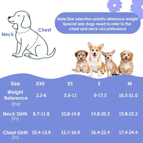 Lukovee Puppy Harness and Leash Set, No Pull Lightweight Soft Suede Adjustable Pet Harness Vest with Snap Buckle for Puppy Small and Medium Size Dog (Blue Flower, XS) - color: ·Blue Flower, size: X-Small ( 5.5-11lb )