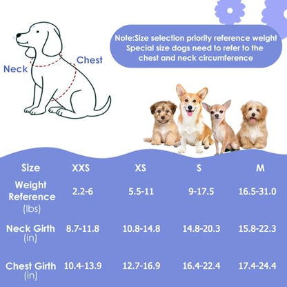 Lukovee Puppy Harness and Leash Set, No Pull Lightweight Soft Suede Adjustable Pet Harness Vest with Snap Buckle for Puppy Small and Medium Size Dog (Blue Flower, XS) - color: ·Blue Flower, size: X-Small ( 5.5-11lb )