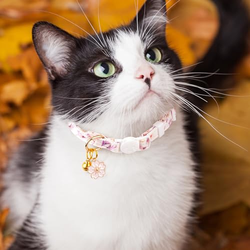 2 Pack Cotton Breakaway Cat Collar White and Blue Flowers Pendant Cute Kitten Cat Collar with Bell - color: White&Blue