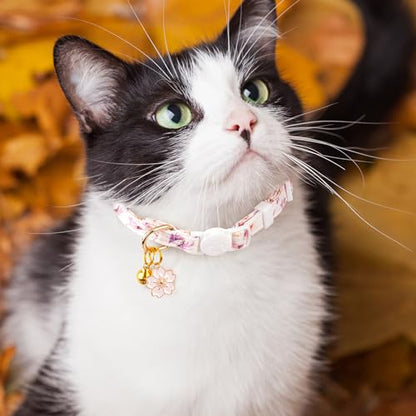 2 Pack Cotton Breakaway Cat Collar White and Blue Flowers Pendant Cute Kitten Cat Collar with Bell - color: White&Blue