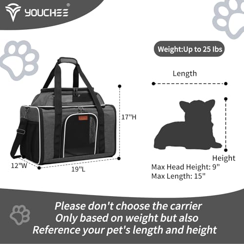 19" Large Pet Carrier for Cats & Small Dogs up to 25 lbs, Airline Approved Soft-Sided Dog Travel Bag, Top Expandable with Breathable Mesh, Washable Liner & Safety Tether. (Grey) - color: Grey