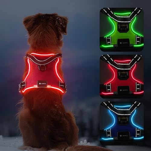 Lighted Dog Harness - No Pull, Glowing LED Harness with Handle, Adjustable for Small to Large Dogs - color: Red, size: S