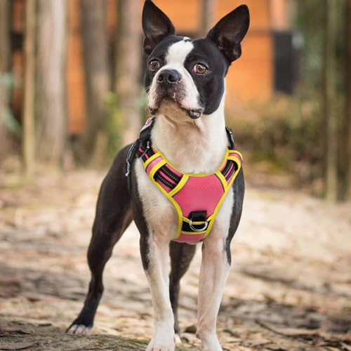 rabbitgoo Dog Harness Small Sized, No Pull Dog Vest with 3 Buckles, Adjustable Soft Padded Pet Harness with Easy Control Handle and Reflective Strips, Pink & Yellow, S - color: Pink & Yellow, size: Small