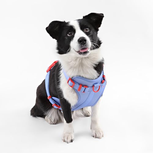 HNS1003E Arlo Large Adjustable Soft Padded No Pull Pet Harness with 3 Buckles and 3 Leash Clips, Sangria - color: Periwinkle, size: Large (Chest: 24 - 37")