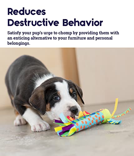 Cool Teething Stick – Puppy Chew Toy for 0–6 Month Puppies, Teething Relief, Freezable & Durable - color: Teething Stick