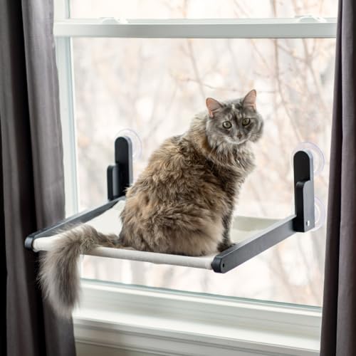 Luli & Cat Cat Window Perch: Cordless, Foldable Wooden Cat Window Hammock with Black Wood and White Fabric Seat