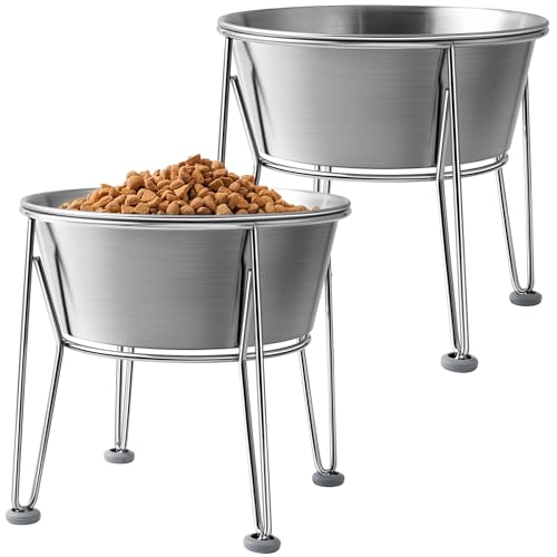 Elevated Dog Bowls for Large & Medium Dogs - Stainless Steel 64oz/8 Cup Raised Feeder with Non-Slip Base, Dual Food & Water Bowls 2-Pack - color: Raised Bowl, size: 8 Cups