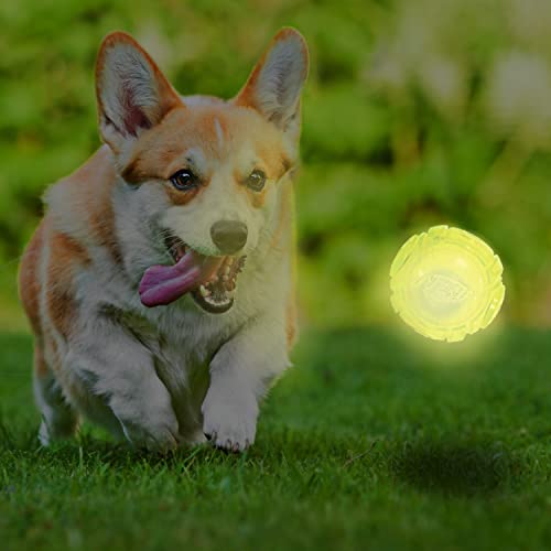Nerf Dog Tennis Ball Blaster Dog Toy white, 2.5 Inch Glow Reload Ball - size: 2.5 Inch Glow Reload Ball