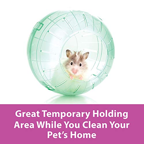 Kaytee 11.5" Clear Run-About Exercise Ball For Pet Rats & Chinchillas - color: Clear, size: 11.5"
