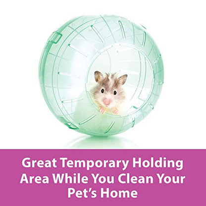 Kaytee 11.5" Clear Run-About Exercise Ball For Pet Rats & Chinchillas - color: Clear, size: 11.5"