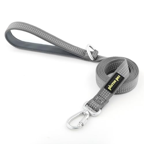 Plutus Pet Heavy Duty Dog Leash with Lockable Aluminum Carabiner, 4/6 Feet Long, Double-Sided Reflective Nylon, Padded Handle, for Puppy, Small, Medium and Large Dogs (Gray, 1" x 4') - color: Gray, size: 1" x 4'