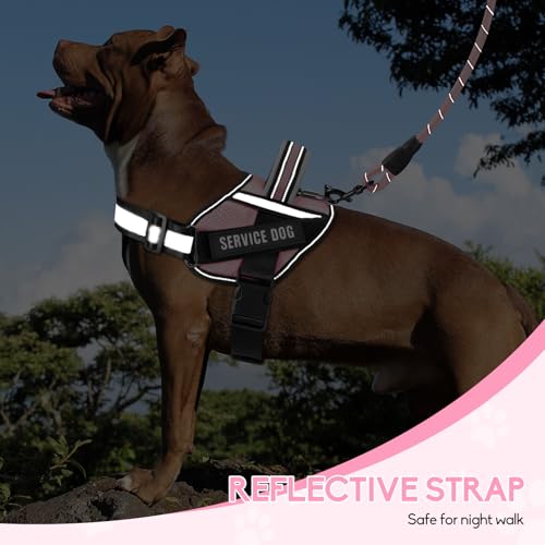 Service Dog Vest Harness and Leash Set, Animire in Training Dog Harness with 10 Dog Patches, Reflective Dog Leash with Soft Padded Handle for Small, Medium, Large, and Extra-Large Dogs - color: Pink, size: XXS