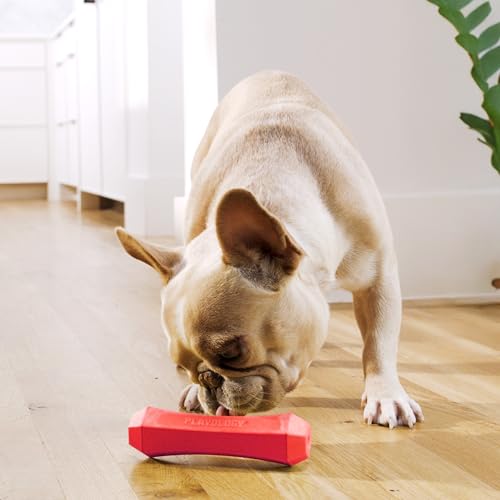Playology Dog Toys | Squeaky Chew Stick for Dogs | Beef Scented Medium Fetch Toy | Squeaky Dog Chew Toy - size: Medium, style: Beef