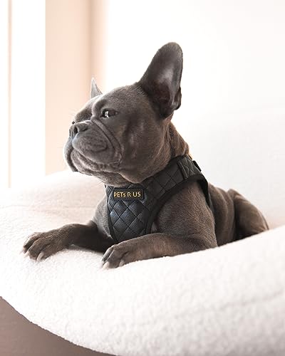 Step in Dog Cat Harness Choke Free Escape Proof Pet Vest Quilted Vegan Leather Breathable Mesh Padded for Small Medium Dogs (Black, Large) - color: Black, size: Large: Neck=12.5-14''/Chest:18-21''