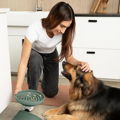 Should We Go? Slow Feeder for Dogs & Puppies, The Slowdown Bowl Silicone Slow Eating, Modern Lick Mat Design, Reduces Gulping, Fits 2.5 Cups, 9.5” Across x 1.5” Tall, Mealtime Challenge, Large-Spruce - color: Spruce - Rainbow Design, size: Large (9.5” Acr