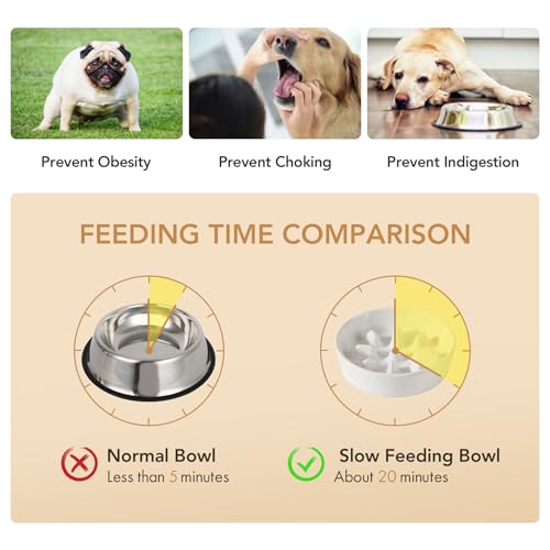 Havniva 1.2 Cup Elevated Slow Feeder Dog Bowls, 7.3” Dog Slow Feeding Bowls + 6.1” Ceramic Dog Water Bowls Set with Acacia Wood Stand, Dog Food Bowls Puzzle Feeder for Small Dogs Non-Slip Anti-choking - color: 2 x White + Stand - C, size: M- 7.3inch / 1.2