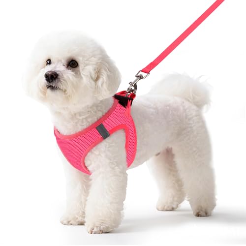 Pet Harness No Pull for Dogs and Cats, Breathable Mesh Vest with Hook & Loop Fastener, Snap Buckle and Double D-Rings, 0.55FIT Secure Fit, Pink, XS - color: Pink, size: XS