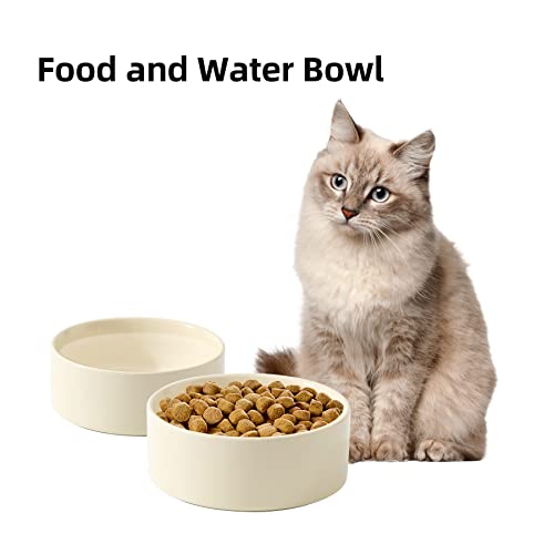 Havniva Cat Bowls Water Bowl Set of Two, 5.1” Ceramic Cat Food and Water Bowl Whisker Friendly Pet Food Bowls for Indoor Cats, Wide Cat Water Dish Prevent Whisker Fatigue Non Slip Cat Feeder - color: 2 x Bowl - Light Yellow