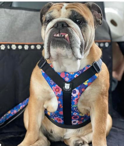No-Pull Harness for English & French Bulldogs - Adjustable Wide-Chest Fit, Reflective Vest with Control Handle (Frisky Flowers, XL) - color: Frisky Flowers, size: XL