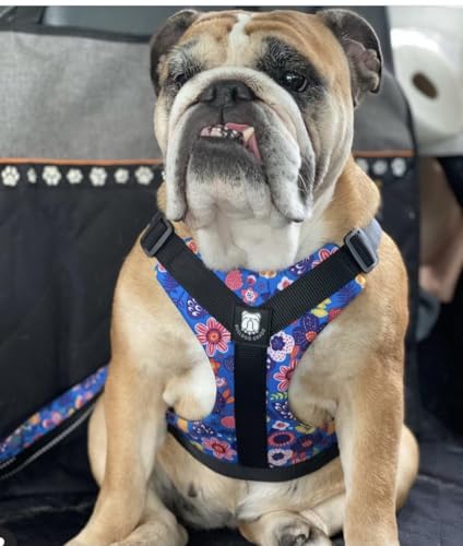 No-Pull Harness for English & French Bulldogs - Adjustable Wide-Chest Fit, Reflective Vest with Control Handle (Frisky Flowers, Large) - color: Frisky Flowers, size: Large
