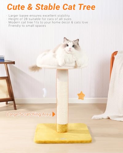Happi N Pets 28" Tall Cat Scratching Post with Bed, Small Cat Tree for Indoor Cats, Thick Cat Scratch Post with Cloud-Shaped Soft Perch & Cute Toys, Stable Cat Stand, Removeable Cover, Bounus Catnip - size: 28" with Scratching Post