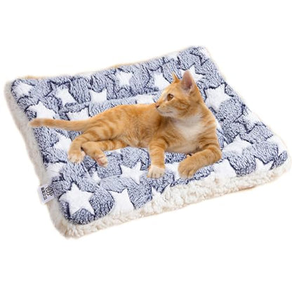 Dog Mat Pet Bed Flannel Soft Cat Sleeping Blanket Puppy Sleep Mat for Small Large Dogs(Blue,30 * 20cm) - color: blue, size: 30*20cm