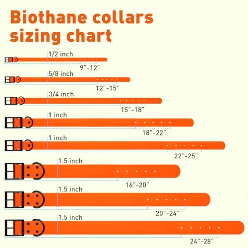Dogline Biothane Waterproof Dog Collar Strong Coated Nylon Webbing with Black Hardware Odor- Proof for Easy Care Easy to Clean High Performance Fits Small Medium or Large Dogs, Hunter Orange