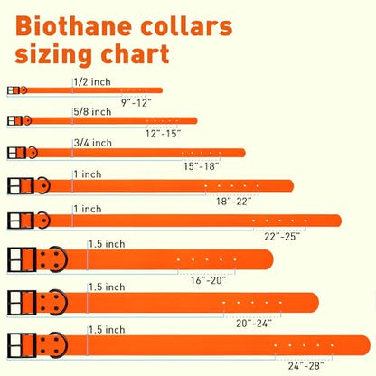 Dogline Biothane Waterproof Dog Collar Strong Coated Nylon Webbing with Black Hardware Odor- Proof for Easy Care Easy to Clean High Performance Fits Small Medium or Large Dogs, Hunter Orange