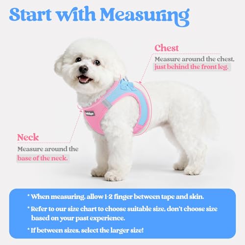 rabbitgoo Dog Harness Small Sized and Leash Set, Step in Soft Light Puppy Vest, Breathable Mesh Pet Harness, Reflective for Safe Easy Walking, Blue & Light Pink XS - color: Blue & Light Pink, size: Xs (chest: 13.3 - 15.5")